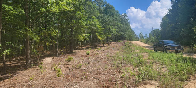 LOT 94 CHINKAPIN RD, HOLLADAY, TN 38341, photo 3 of 4