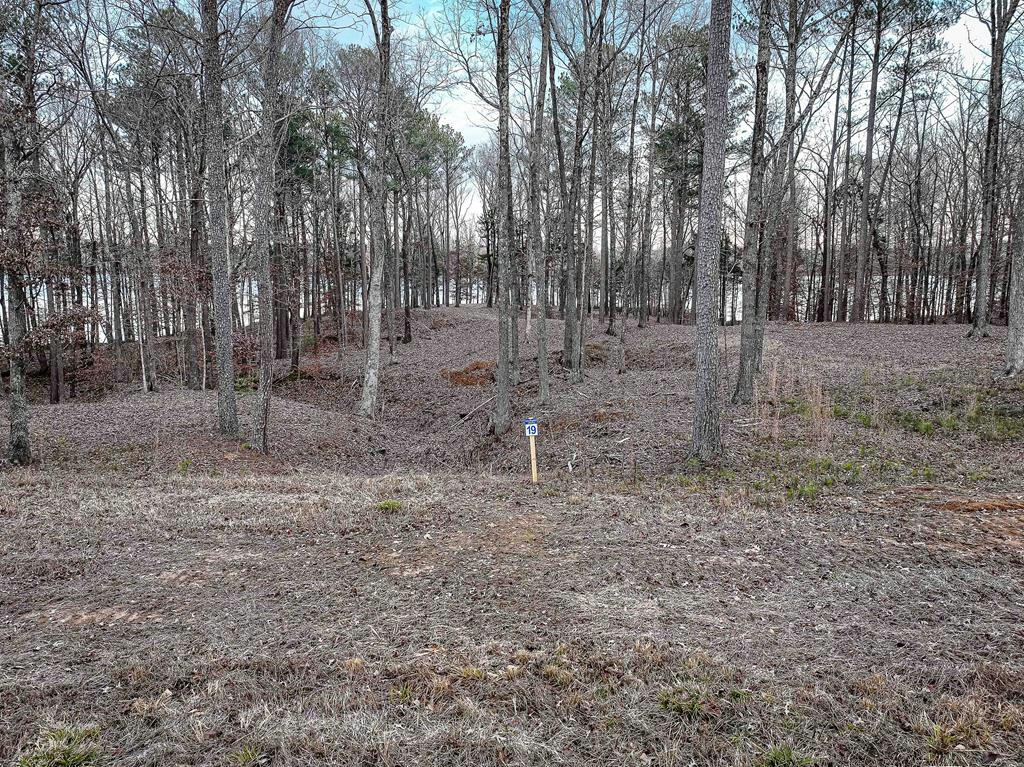 LOT 19 STATELY OAKS DR, HUNTINGDON, TN 38344, photo 1 of 7